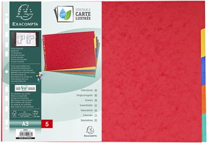 SEPARADORES EXACOMPTA CART. A3  5 ps