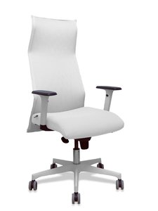SILLON PIQUERAS SAHUCO DIREC. B.BLANCO