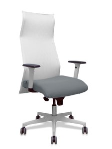 SILLON PIQUERAS SAHUCO DIREC. B.GRIS