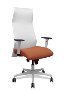 SILLON PIQUERAS SAHUCO DIREC. B.MARRON