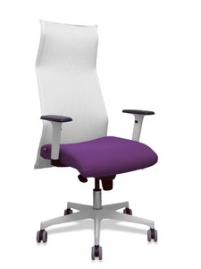 SILLON PIQUERAS SAHUCO DIREC. B.MORADO