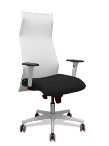 SILLON PIQUERAS SAHUCO DIREC. B.NEGRO