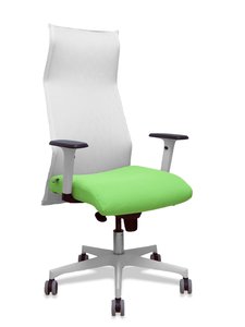SILLON PIQUERAS SAHUCO DIREC. B.PISTACHO