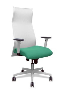 SILLON PIQUERAS SAHUCO DIREC. B.VD ESMER