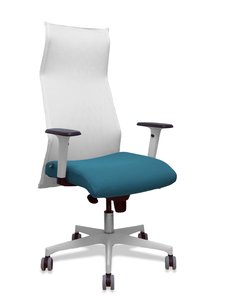 SILLON PIQUERAS SAHUCO DIREC. B.VD PETRO