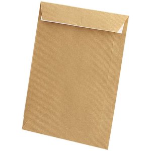 BOLSA SAM 260x360 RECICLADO  100g C/250
