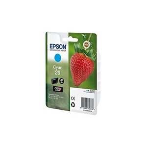 CART.IJ.EPSON T298240 Nº29 CIAN