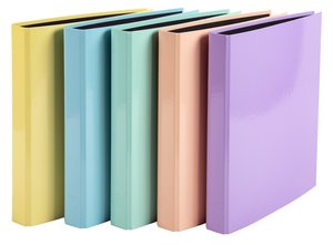 CARPETA EXACOMPTA FORR. A4 4 AN.25 SURT.