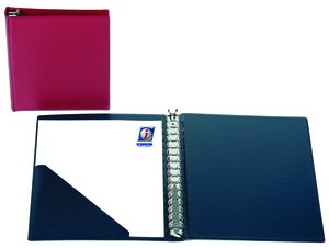 CARPETA IBER.PVC OF.Fº 16 AN.25 ACOL.AZ.