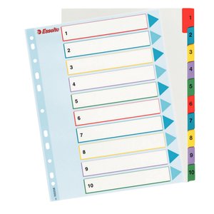 INDICE ESSELTE CART.BORR.NUM.A4+ ps.1-10
