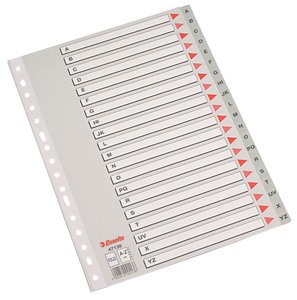 INDICE ESSELTE PP ALF.Fº 20 ps.GRIS
