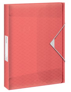 CARP.PROY.ESSELTE PP A4 2,5 cm CORAL