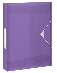 CARP.PROY.ESSELTE PP A4 2,5 cm MALVA