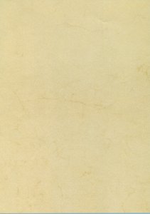 PAPEL HABANA A4 APLI  90g 100h
