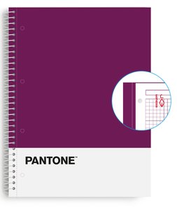 BLOC ESCOL.PANTONE A4 BASIC 80h 5x5 VL