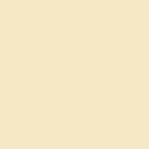 CARTULINA 50x65 IRIS 185g CARNE P/25