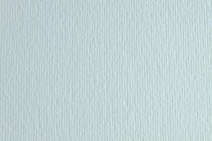 CARTULINA 50x70 FABRI. 220g LR BIANC P/2
