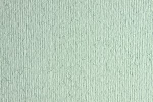 CARTULINA 50x70 FABRI. 220g LR BRINA P/2