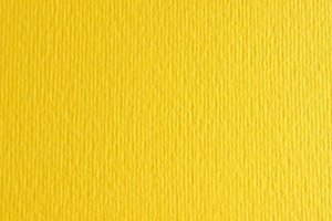 CARTULINA 50x70 FABRI. 220g LR CEDRO P/2