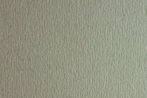 CARTULINA 50x70 FABRI. 220g LR CHINA P/2