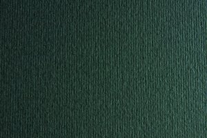 CARTULINA 50x70 FABRI. 220g LR FERRO P/2