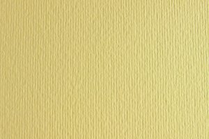 CARTULINA 50x70 FABRI. 220g LR ONICE P/2