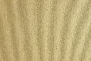 CARTULINA 50x70 FABRI. 220g LR PANNA P/2