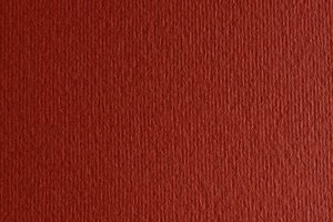CARTULINA 50x70 FABRI. 220g LR TERRA BRU
