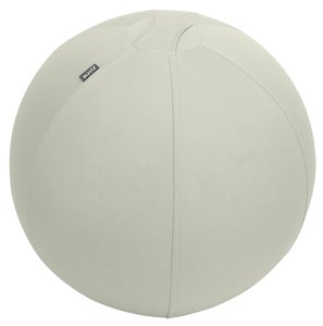 SILLA BALON LEITZ ERGO 55cm ANT. GRIS