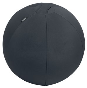 SILLA BALON LEITZ ERGO 55cm ANT.GRIS OSC