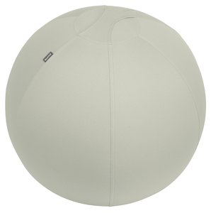 SILLA BALON LEITZ ERGO 65cm ANT. GRIS